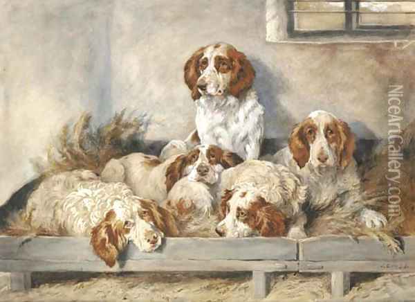 Five clumber spaniels Oil Painting - John Emms