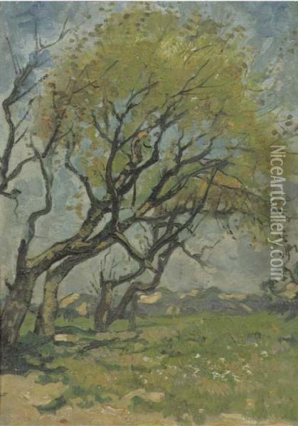 Trees In Spring Oil Painting - Cornelis Kuypers