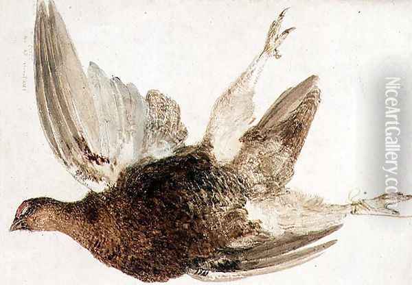 Grouse, from The Farnely Book of Birds, c.1816 Oil Painting - Joseph Mallord William Turner