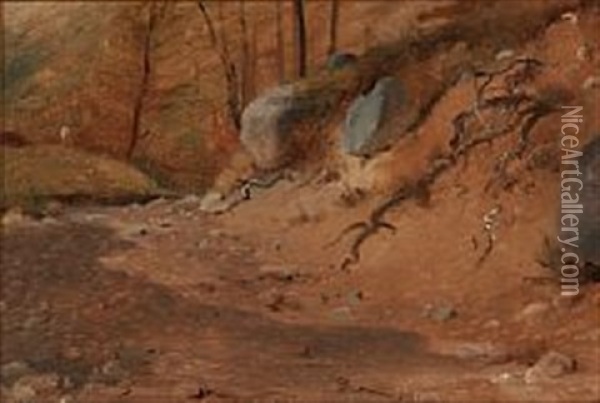 Studie Af En Skraent I Skoven Oil Painting - Vilhelm Peter Carl Petersen