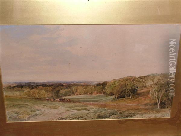 Wmperis A Newforest Upland Oil Painting - Edmund Morison Wimperis
