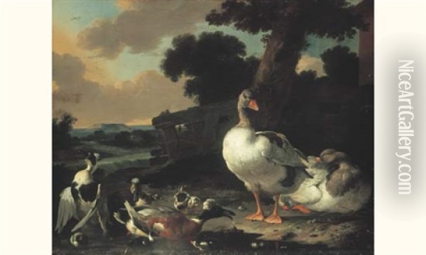 Canards Et Oies Dans Un Paysage Oil Painting - Pieter Casteels III