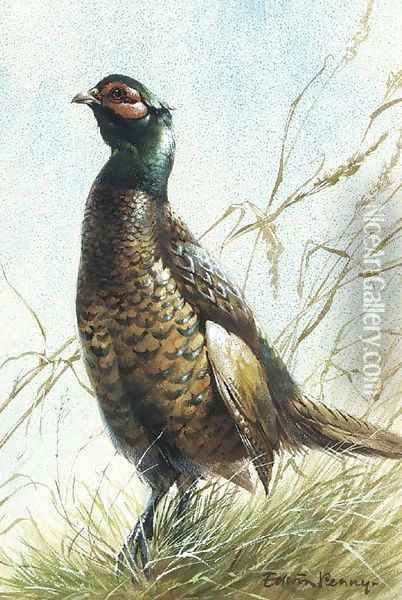 A pheasant Oil Painting - Edward Penny