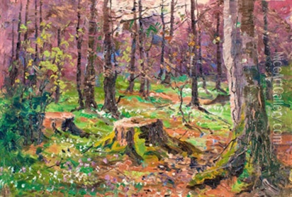 Buschwindroschen Im Darswald Oil Painting - Elisabeth Von Eicken