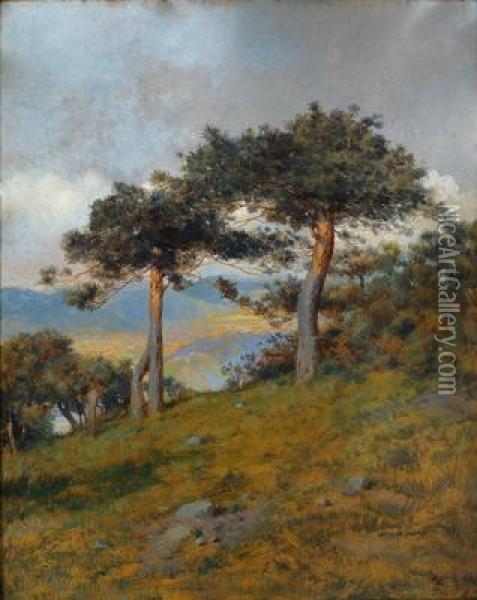 Pine Trees On A Cliff Oil Painting - Otto Nowak