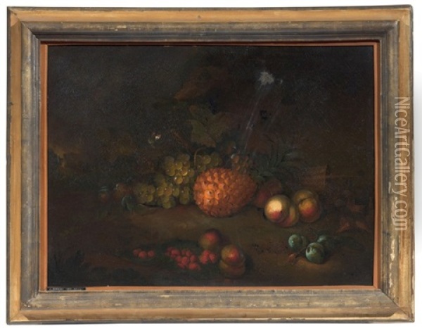 Natura Morta Con Frutta E Pigna Oil Painting - Jakob Bogdani