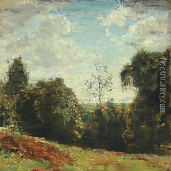A Hilly Summer Landscape Oil Painting - Carl Vilhelm Holsoe