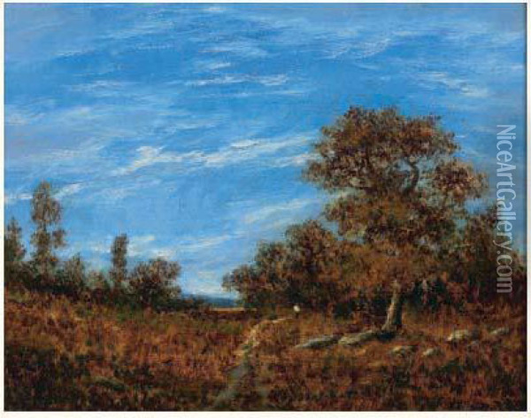 Promeneuse En Foret De Fontainebleau Oil Painting - Theodore Rousseau