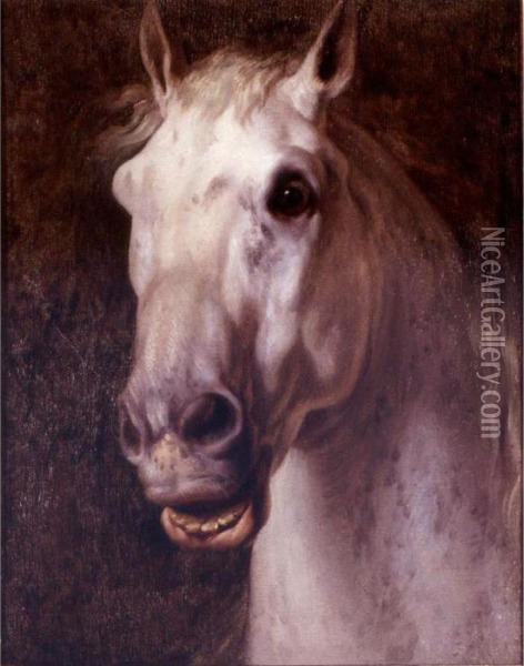 Head Of A Horse Oil Painting - Carle Vernet