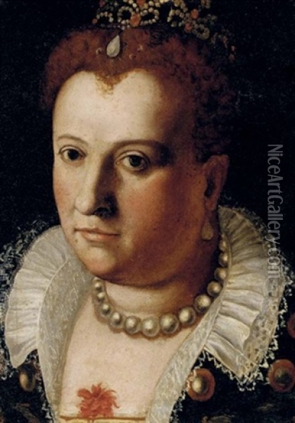 Portrait Of A Noblewoman With A Pearl Necklace And A Jeweled Headdress Oil Painting - Bernardino Campi