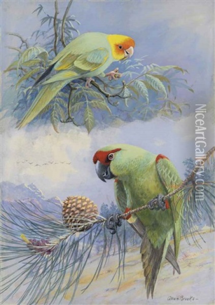 Carolina Parakeet And Thick Billed Parrot Oil Painting - Allan Brooks
