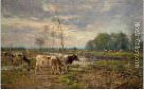 Cows In A Meadow Oil Painting - Frans Courtens