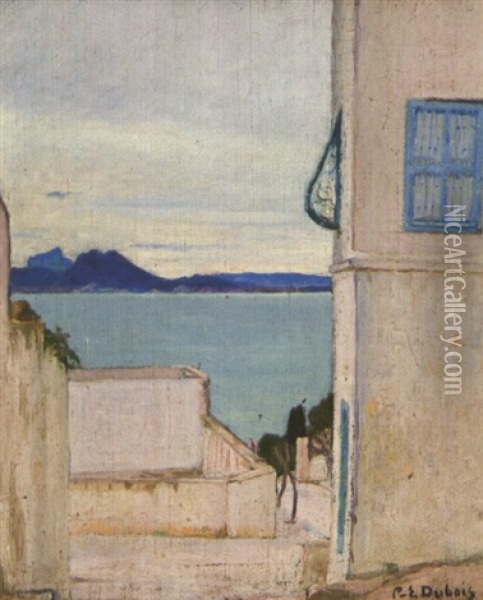 Maisons A Sidi Bou-said Oil Painting - Paul Emile Dubois
