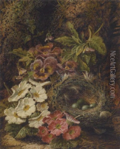 A Still Life With A Bird's Nest, Pansies And Other Wildflowers On A Mossy Bank Oil Painting - Oliver Clare