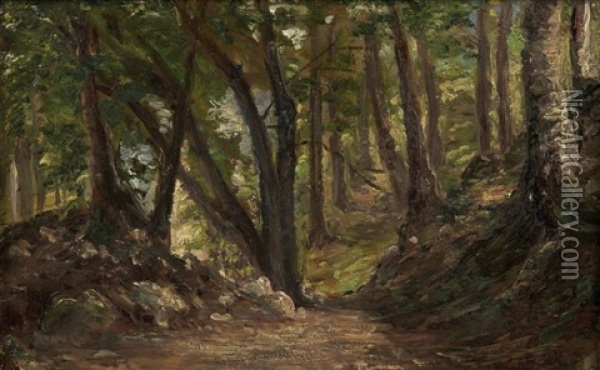 Chemin Dans Un Sous-bois Oil Painting - Andre Giroux