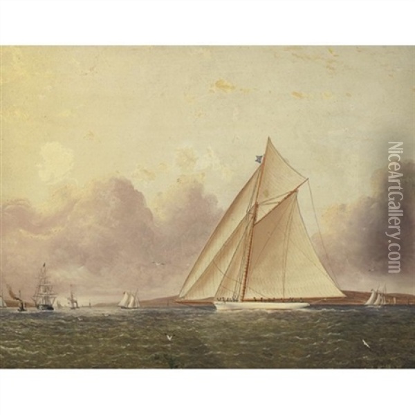 A View Of New York Sound, The "volunteer" In The Foreground Oil Painting - James Edward Buttersworth