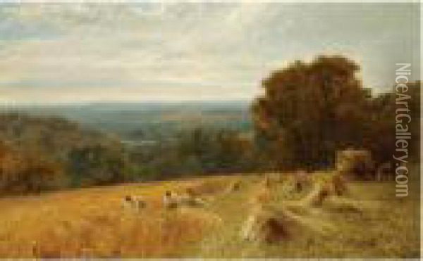 Gathering In The Wheat Harvest, 
Between Petworth Andfittleworth, Near Midhurst, South Downs, Sussex Oil Painting - George Vicat Cole