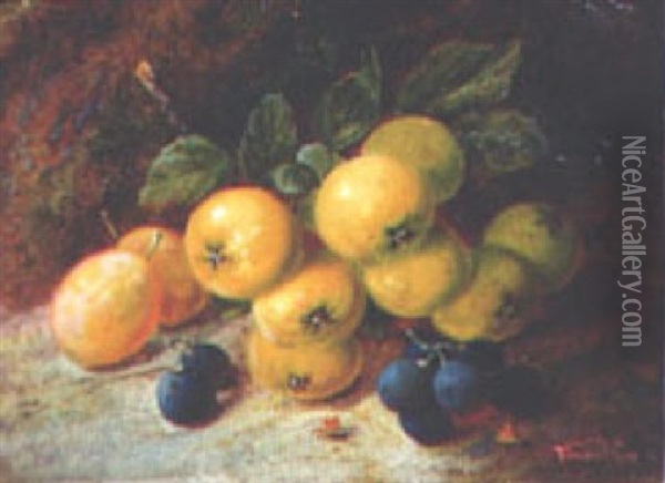 Fruit Oil Painting - Vincent Clare