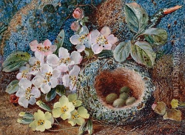 Wild Flowers By A Bird's Nest (+ Primroses And Other Wild Flowers On A Mossy Bank; Pair) Oil Painting - Vincent Clare