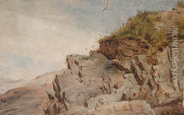 Study Of A Cliff Oil Painting - Charles Napier Hemy