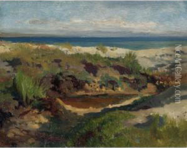 Dune Landscape Oil Painting - Arthur Jean Bapt. Calame