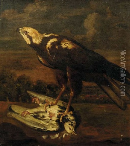 A Falcon With A Dead Pigeon Oil Painting - Philipp Ferdinand de Hamilton