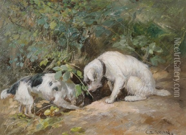 Terriers At Rabbit Hole Oil Painting - Cuthbert Edmund Swann