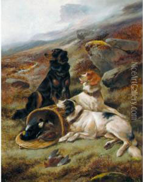 The Highland Trio, English And Gordon Setters Oil Painting - John Gifford