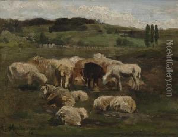 Schafe Auf Der Weide Oil Painting - Antonio (Antonis Matteo) Montemezzo