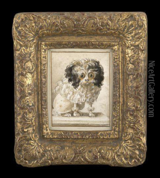Portrait Of A Wide-eyed Poodle Oil Painting - Jacques Barthelemy Delamarre