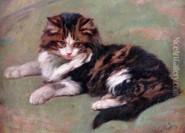 Study Of A Cat Oil Painting - Wright Barker