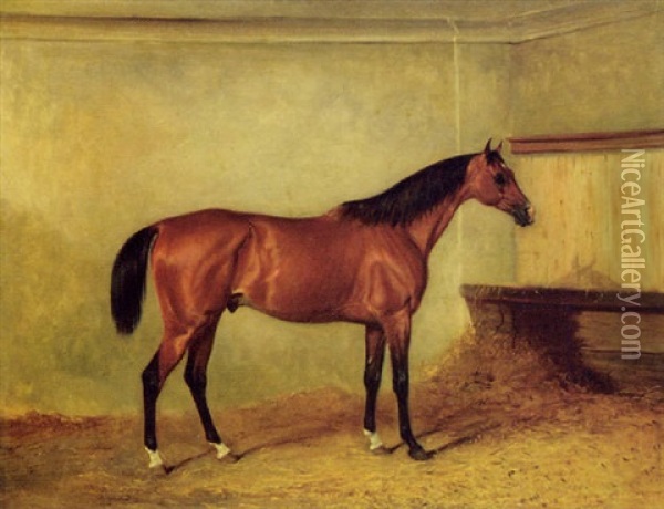 A Bay Hunter In A Stable, The Property Of Henry George Herbert, 7th Earl Of Carnarvon Oil Painting - John E. Ferneley