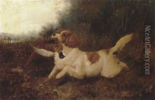 A Spaniel Retrieving A Pheasant Oil Painting - John Gifford
