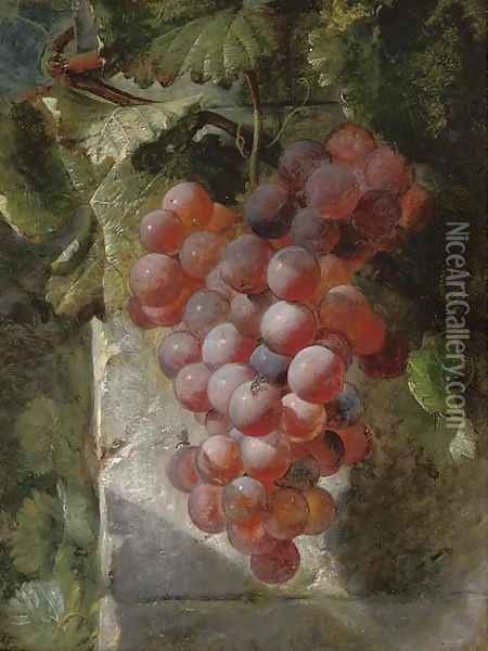 Grapes on the vine Oil Painting - William Hughes