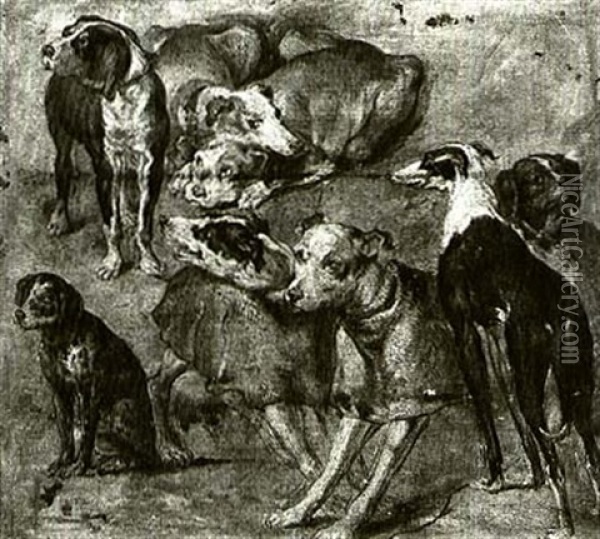 Studies Of Dogs Oil Painting - Pieter Boel