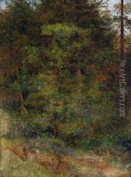 Waldstuck Mit Rotbluhendem Busch Im Vordergrund Oil Painting - Johann Sperl