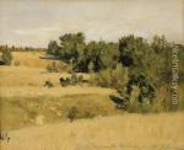 Summer Landscape Oil Painting - Isaak Ilyich Levitan