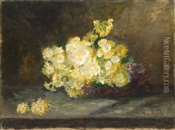 Schlusselblumen Oil Painting - Marie Oesterley