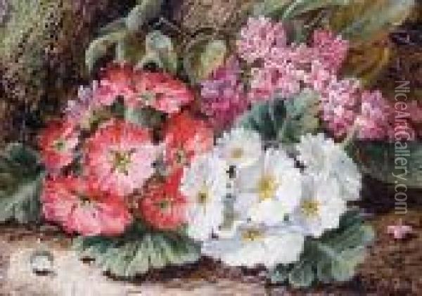 Still Life Of Primroses On A Mossy Bank Oil Painting - Oliver Clare
