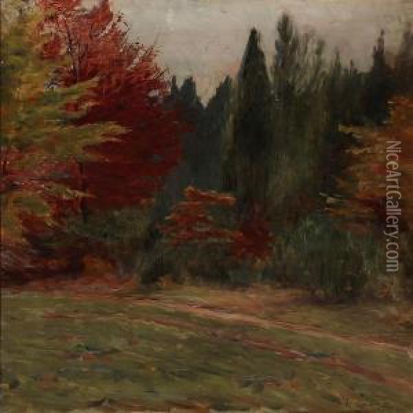 Autumn Forest Oil Painting - Bertha Wegmann