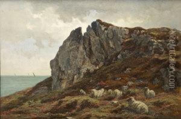 Sheep By The Coast Oil Painting - Alfred Grey