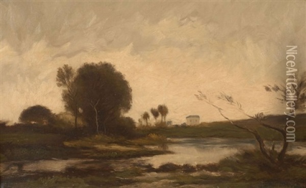 Paysage A L'etang Oil Painting - Karl Pierre Daubigny