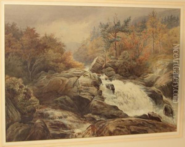 Dolgarrog Falls, North Wales Oil Painting - William Bradley