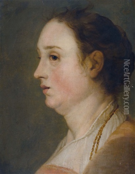Portrait De Femme Oil Painting - Jacob Adriaensz de Backer