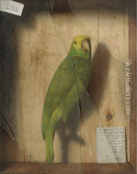 Homage To A Parrot Oil Painting - De Scott Evans