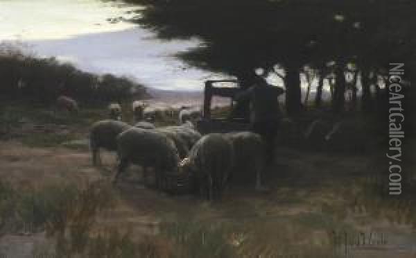 Sheep By A Well Oil Painting - Hermann Johannes Van Der Weele