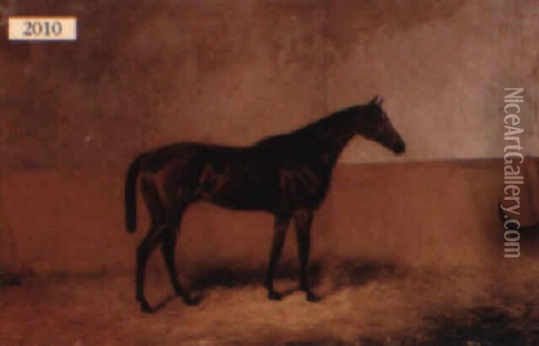 Horse Facing Right In Its Stall Oil Painting - Colin Graeme