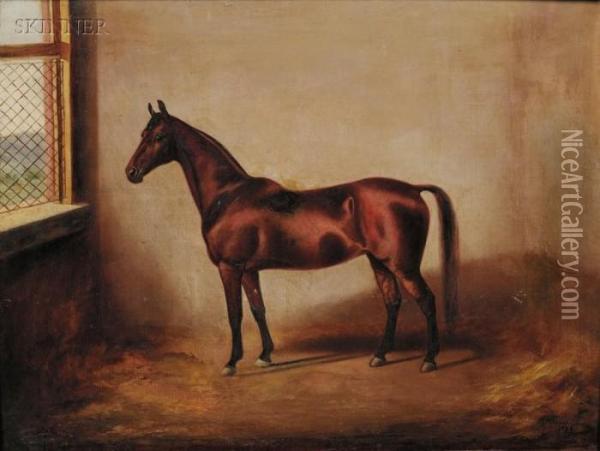Portrait Of A Horse. Oil Painting - Mary Guise Newcomb