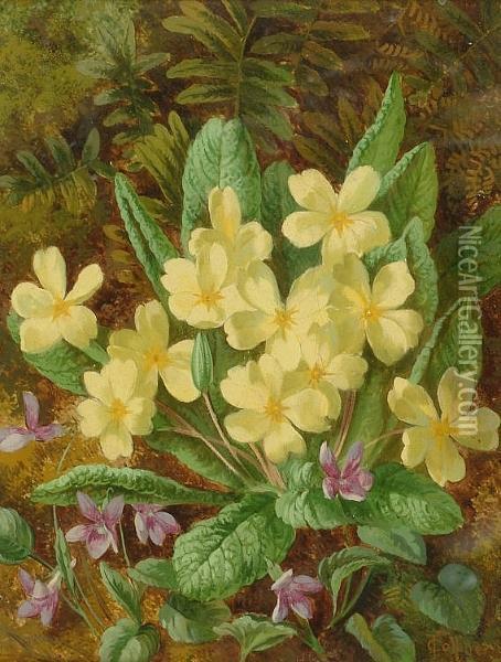 'primroses And Violets' And 'azalea Blooms' Oil Painting - Thomas Collins