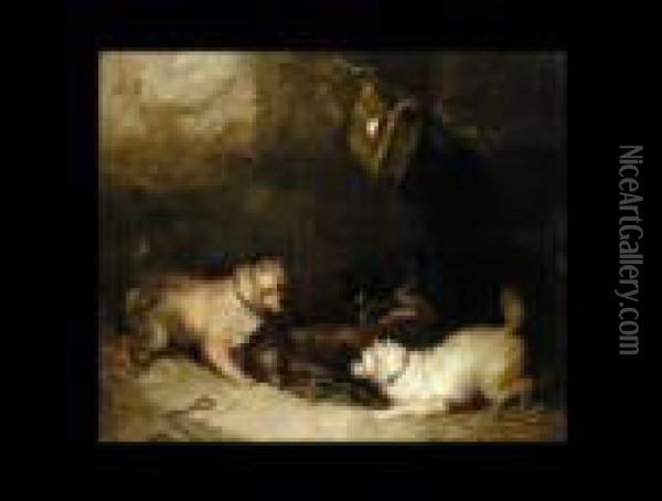 Hunde Vor Einem Kafig Oil Painting - George Armfield